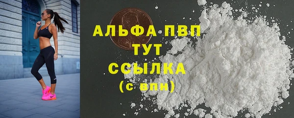тгк Горно-Алтайск