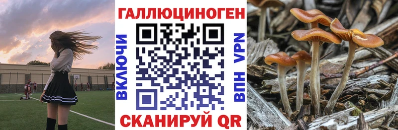 Псилоцибиновые грибы GOLDEN TEACHER  Купить где  Кондрово 
